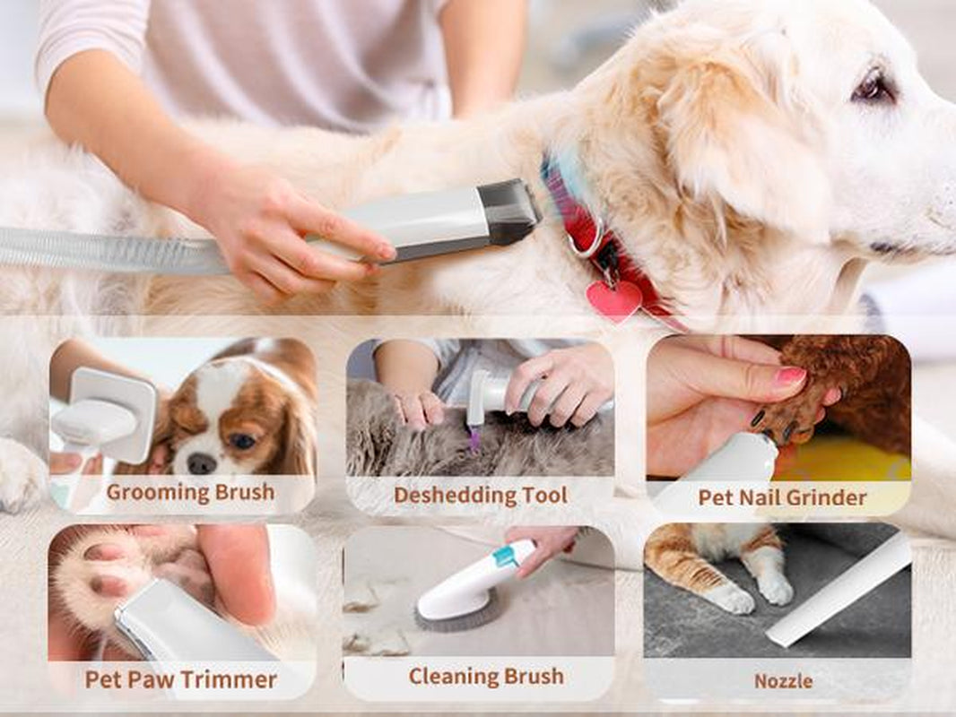 Pet Grooming Kit & Vacuum, Pet Clippers with 6 Pet Grooming Tools, Pet Grooming Vacuum for Dogs Cats Shedding Grooming