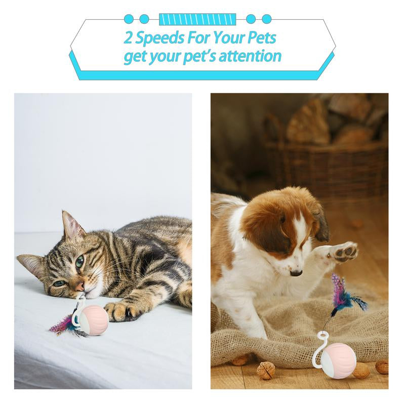 Turbo Tail Cat Toy Interactive Cat Balls Cat Toys for Indoor Cats, Turbo Tail Mouse Cat Toy with LED Rainbow Lights Feathers & USB Charging Cable, Touch Control and Sound Control Smart Cat Ball Toy Exercise Toy Automatic Motion Activate Pettoys